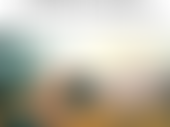Zoom in to Focus, Zoom out for Perspective