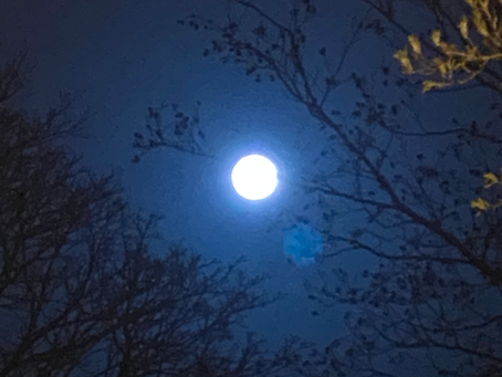 Novembre 2025 - Dharana : l’art de la concentration dans un monde dispersé