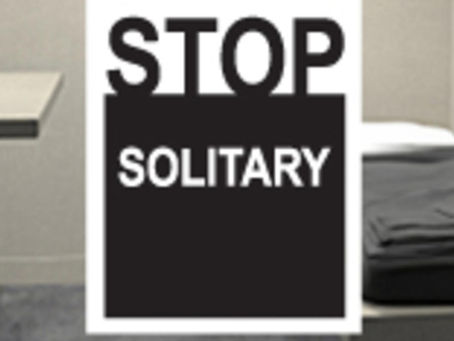 Solitary Confinement in the U.S. Criminal Legal System: U.N. Convention Against Torture Implications