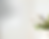 Design ohne Titel (1).png