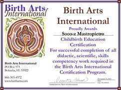 CBE certification. Childbirth Educator. Certified Childbirth Educator. Prenatal Education. Prenatal Nutrition. Prenatal Fitness. Comfort Measures. Labor Coping Mechanisms. Immediate postpartum care.