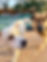 IMG_3196.jpeg