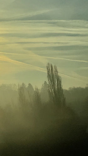 IMG_4626.JPEG