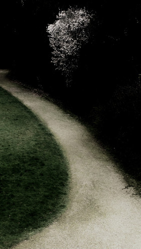 Chemin Vert