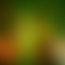 From Sci-Fi to Reality