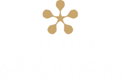 Premieer+Padel+Logo.png