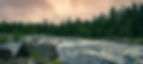 iStock-2121805429_edited.jpg
