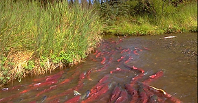 <p class="font_8"><br></p>
<h6 class="font_6">2004-2006</h6>