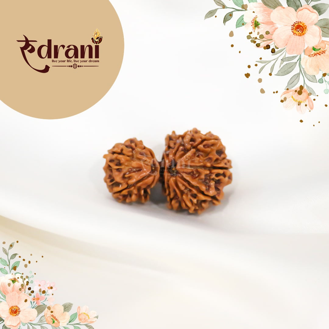 Gaurishankar Rudraksha