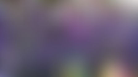 Are you Ready?! Are you Ready?!