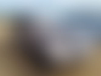 Website Update