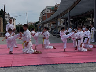 Exhibición en la fiesta mayor de Terrassa