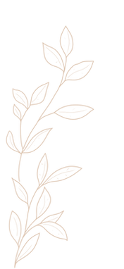 Illustration_sans_titre (1)_edited.png
