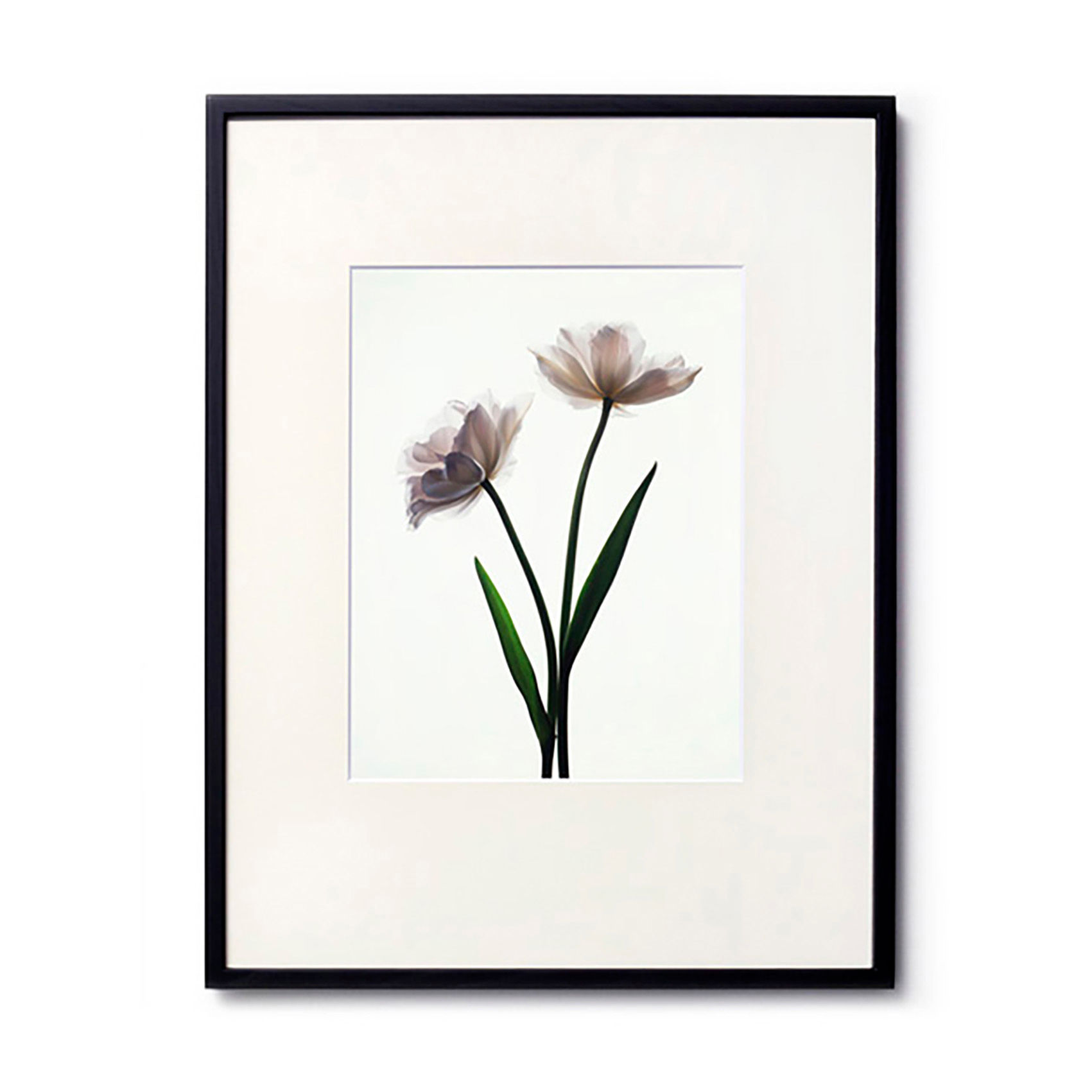 高崎 勉／写真／Breath. silhouette17