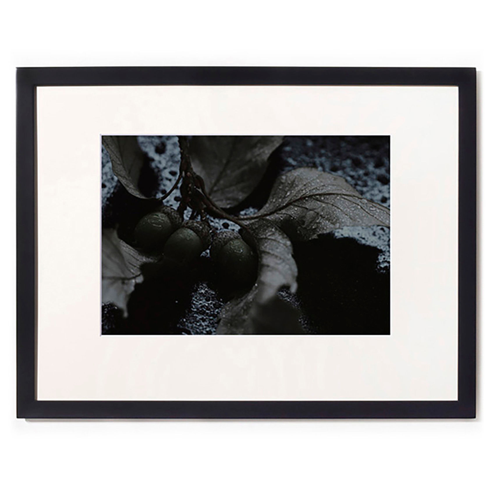 Tsutomu Takasaki / Photo / Life 31