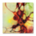 サムネイル： Rikke Darling／Northern Lights　Expanding
