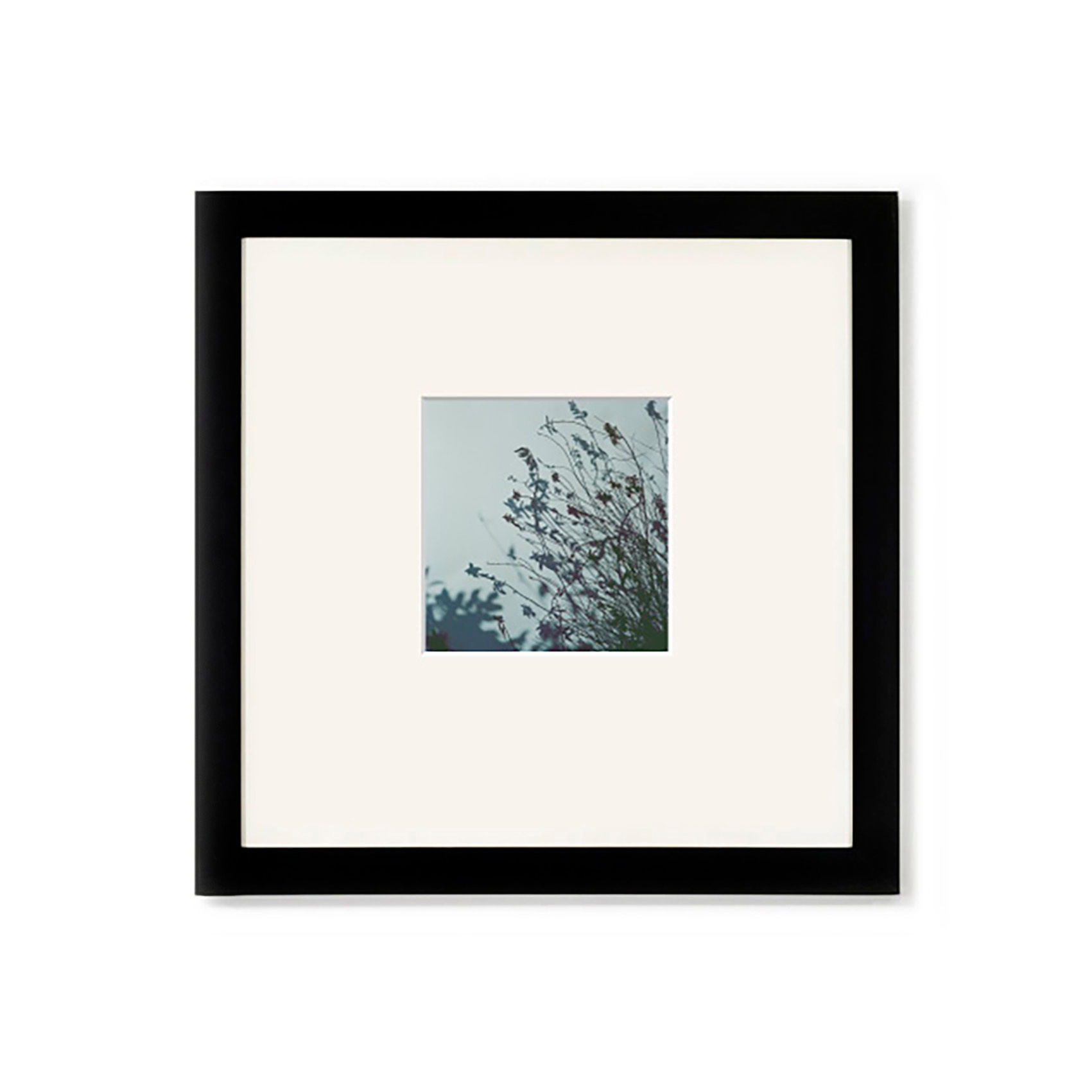 Tsutomu Takasaki / Photo / silhouette 13