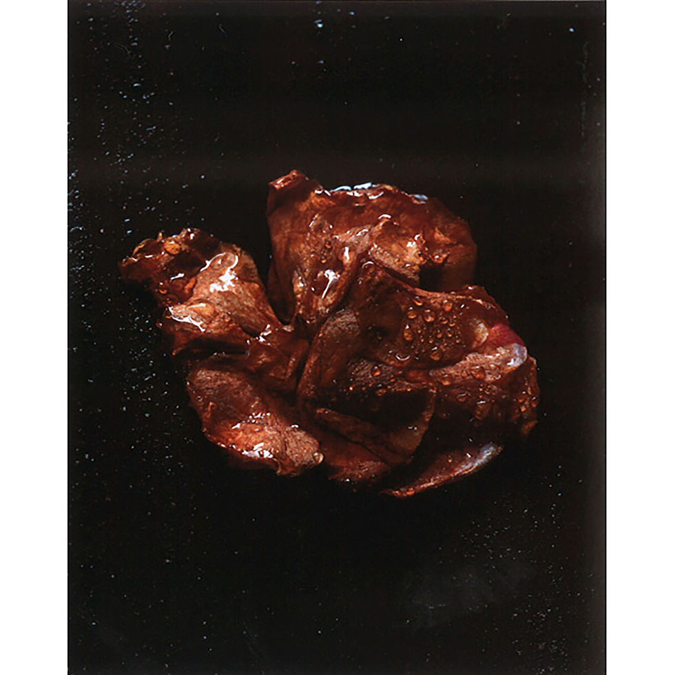 Thumbnail: Tsutomu Takasaki / Photo / Life22