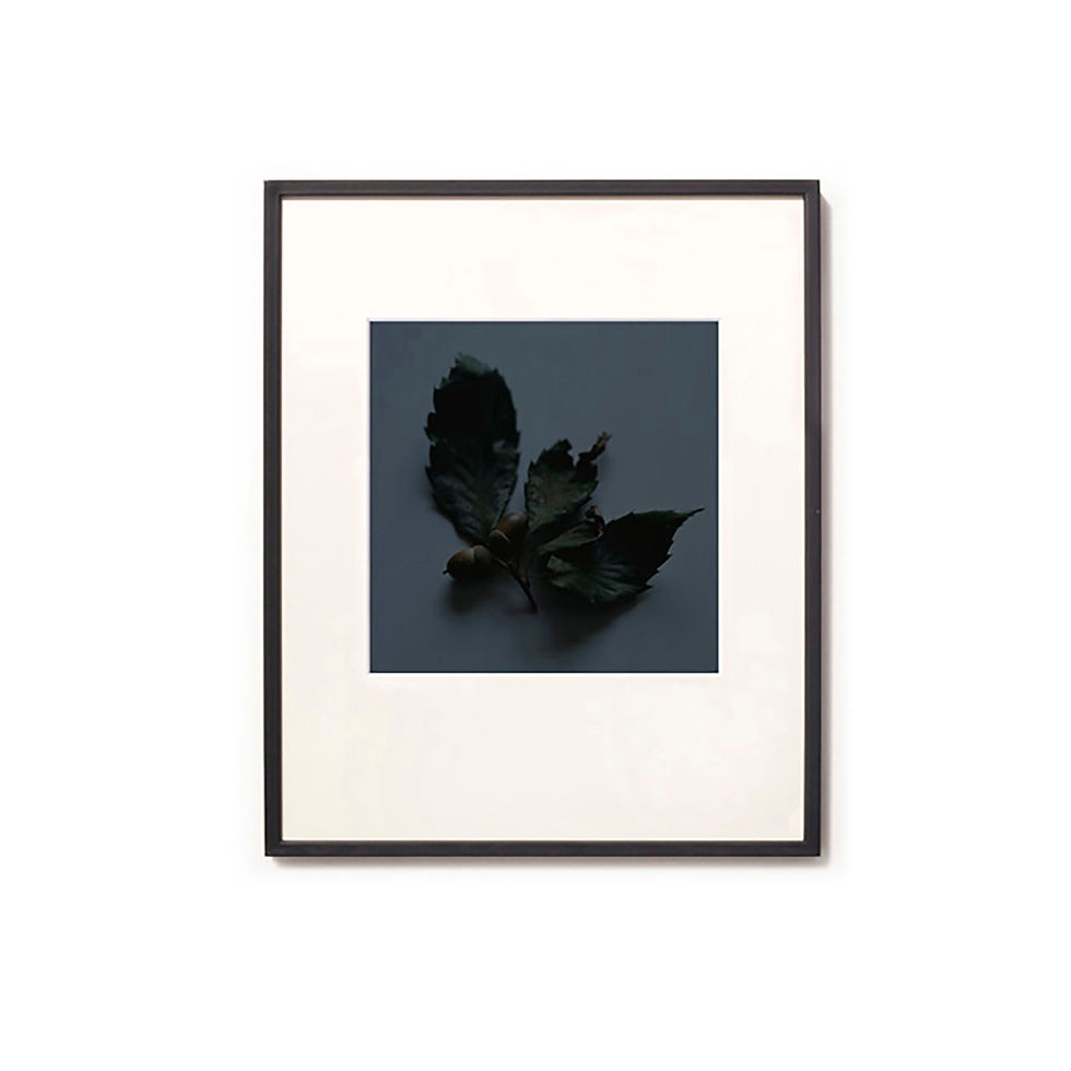 高崎 勉/写真/Life30