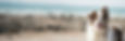 Dog Header Extended.jpg