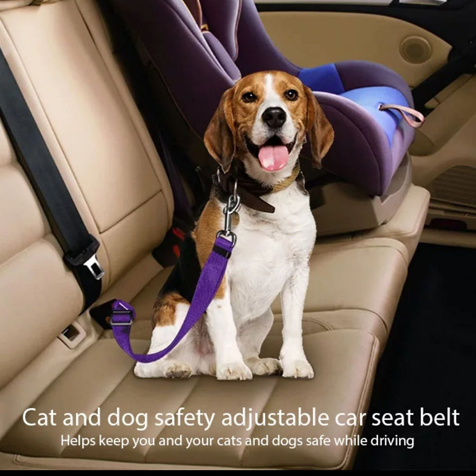 Thumbnail: Adjustable pet safety belt