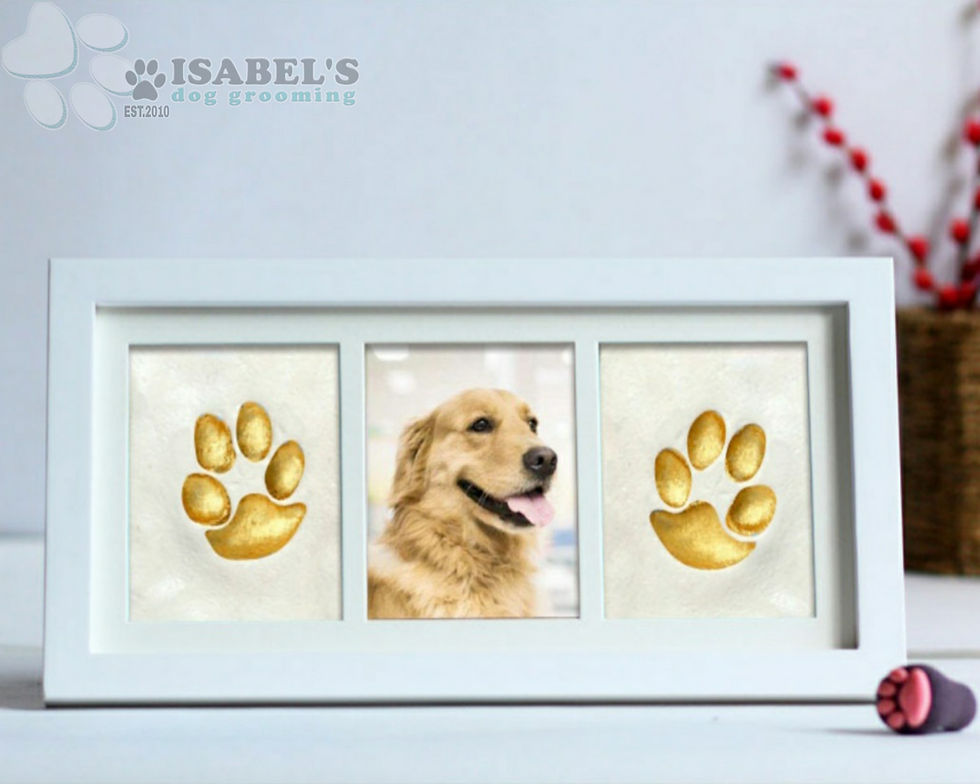 Thumbnail: Pet pawprint keepsake photo kit