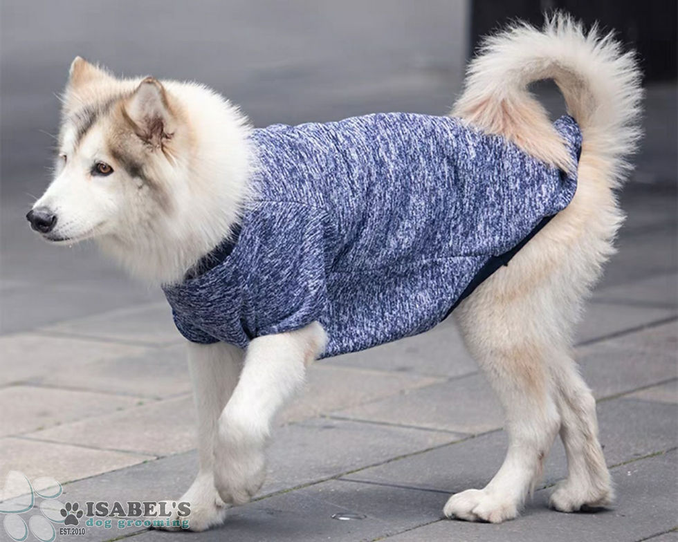 Thumbnail: Classic Knit Sweater