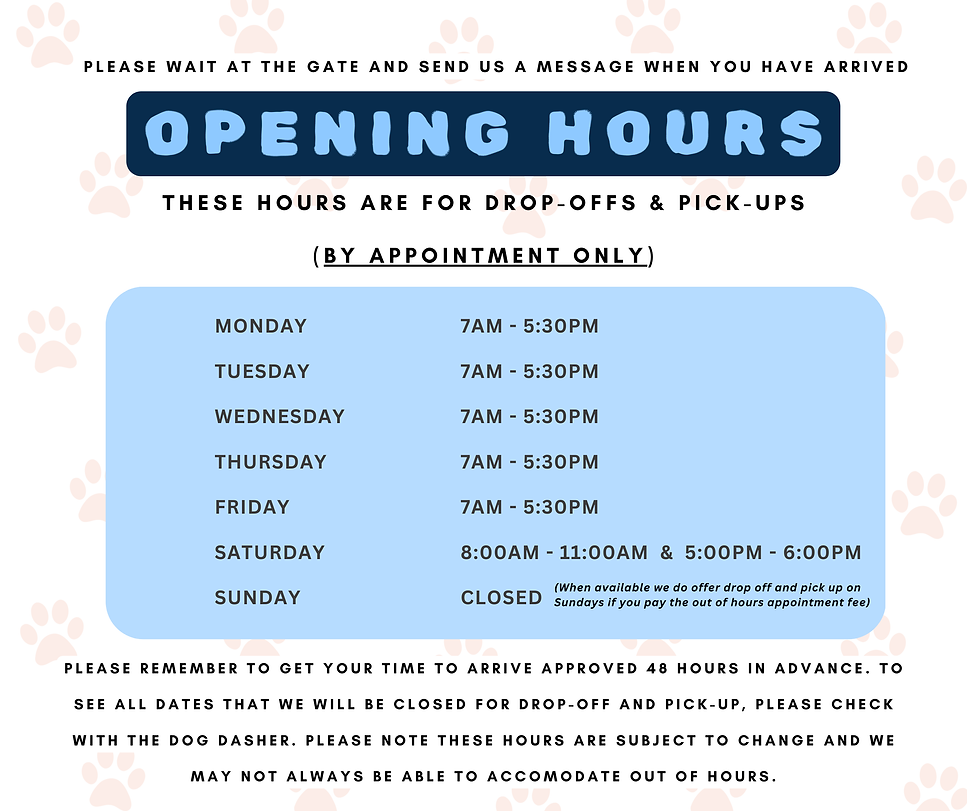 Dog Dasher hours.png