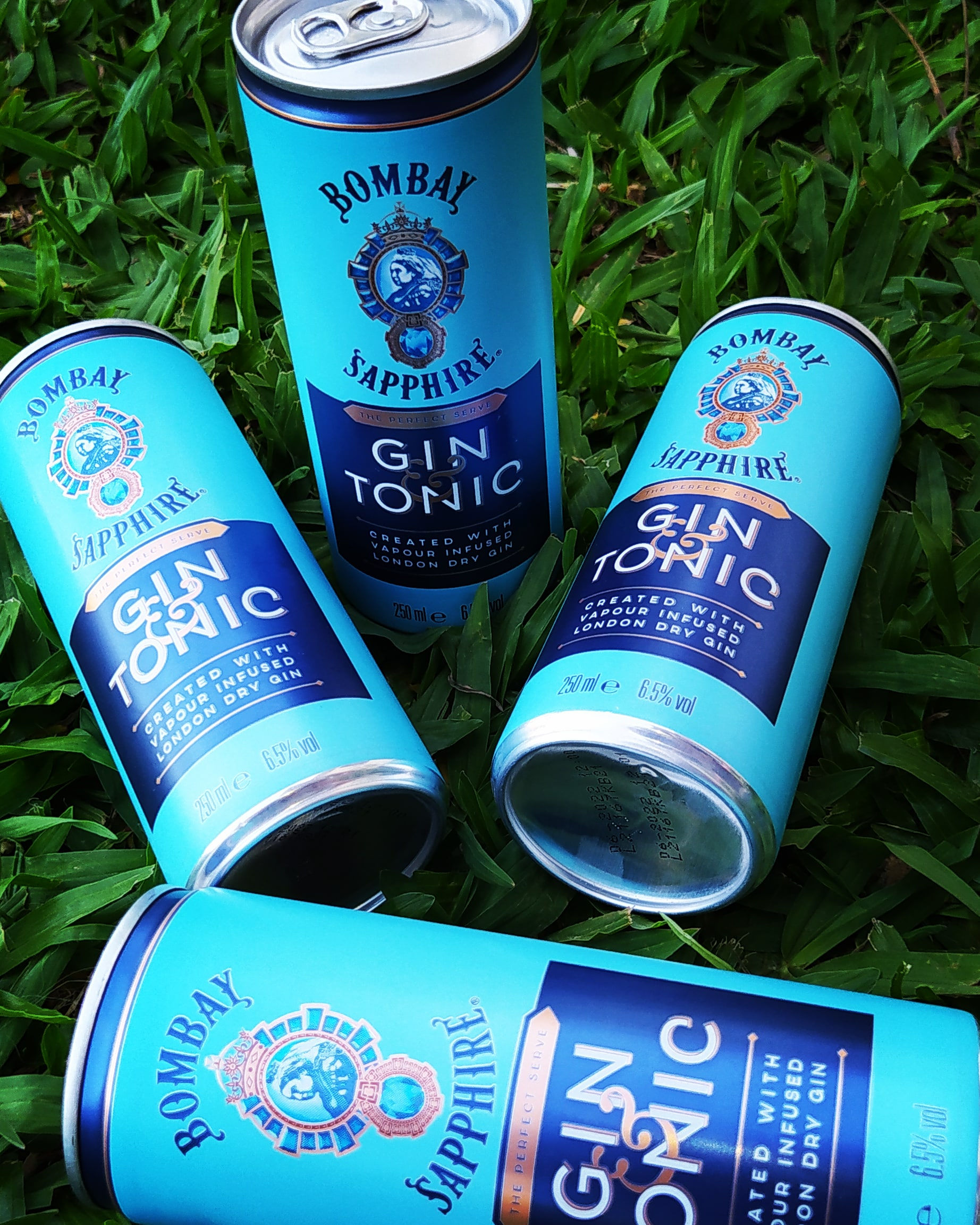 Gin & Tônica Bombay Shappire