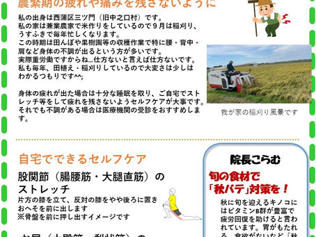 ニュースレター