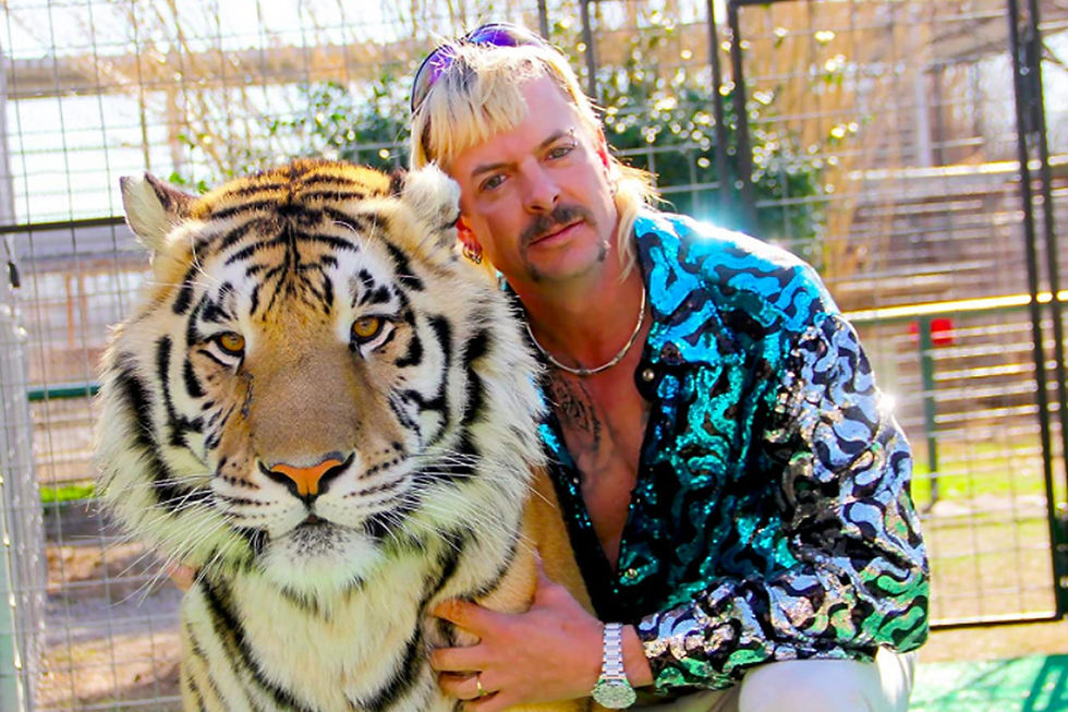 The Problem with the Netflix Documentary "Tiger King" 
