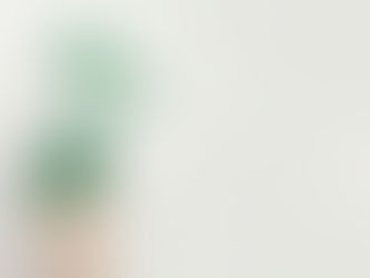 From Policy to Practice: Why Sustainability is Now a Compliance Imperative