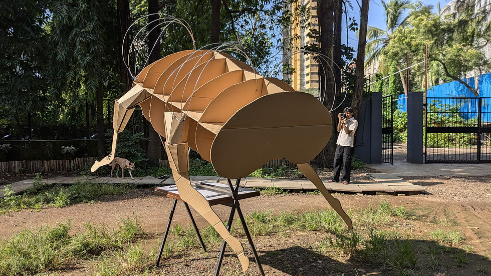 WhatsApp Image 2025-11-09 at 19.48.06_4c489f91