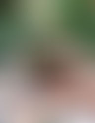 Did You Get The Chicken or The Fish? 