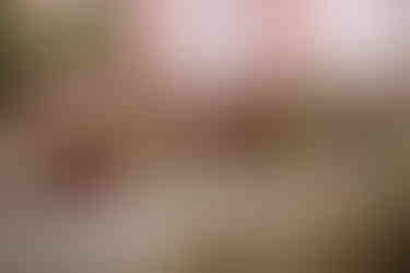 fotografia-boda-casa-leacock