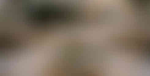 fotografia-bodas-fuerteventura