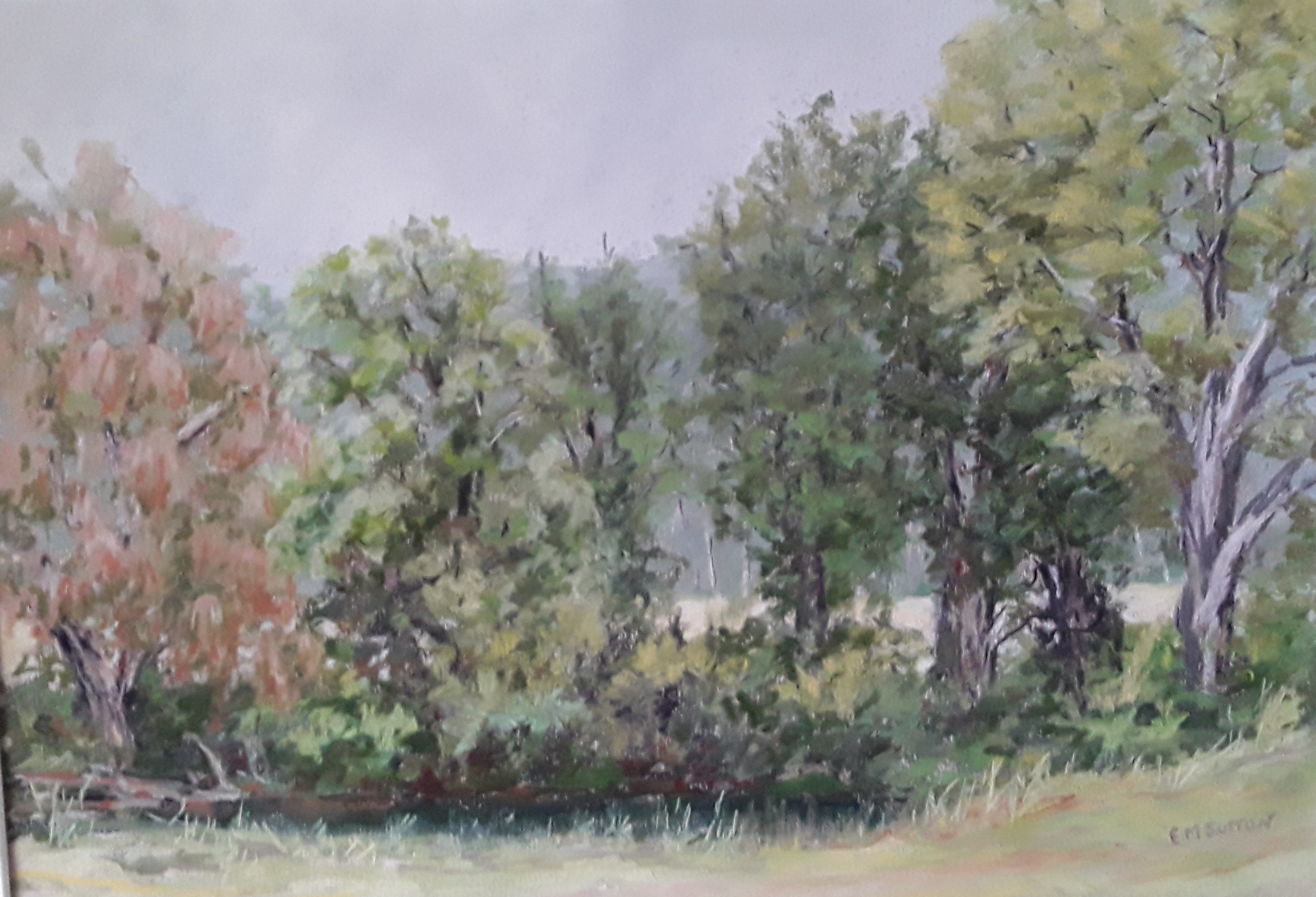 Goomburra Valley Campground (002)