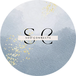 Soo Connects logo bij DS25