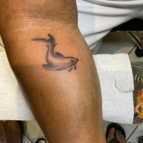 Shark tattoo by mike r