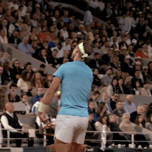RafaServe.gif
