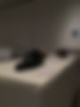 IMG_8506.jpeg