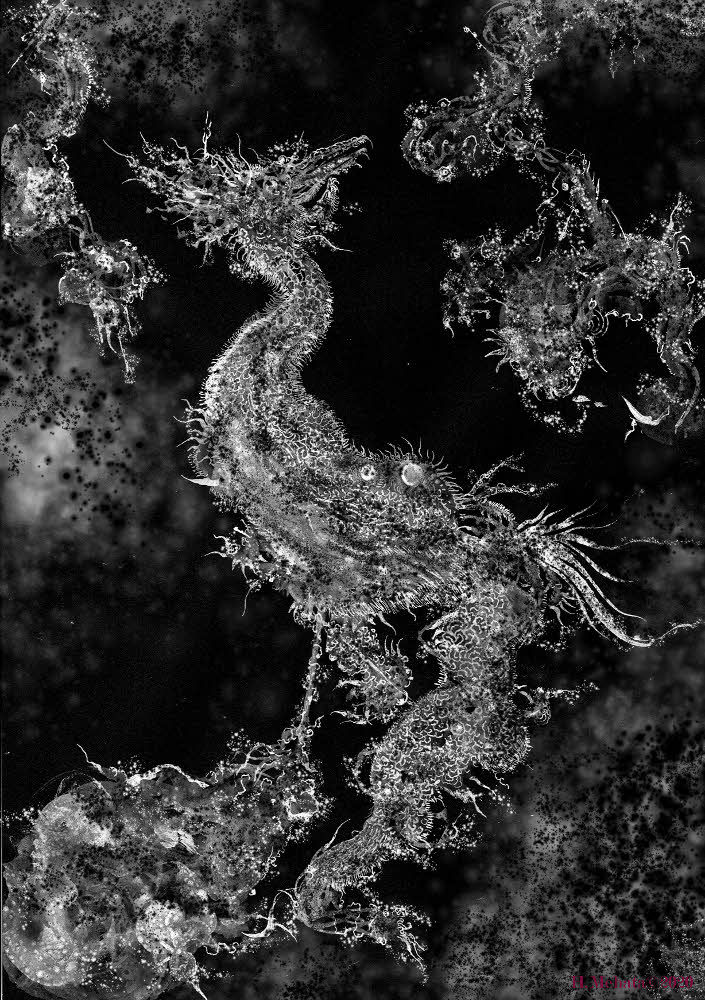 Hiroshi Mehata work 03