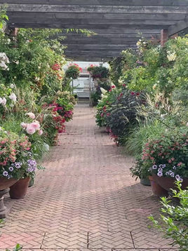 A beautiful entrance to our Nursery!
