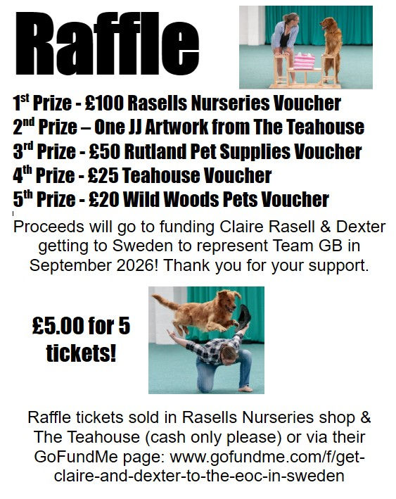 Want to win an excellent prize by supporting Claire & Dexters journey to Sweden?