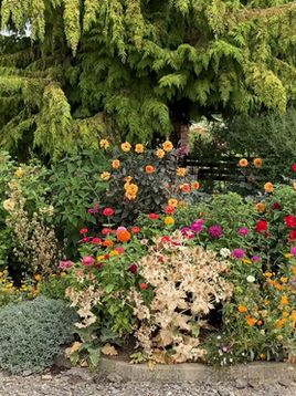 What an entrance to a garden nursery!