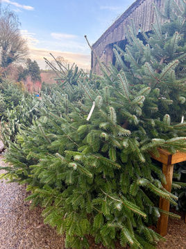 Now is a great time to start to feel Christmas-y!