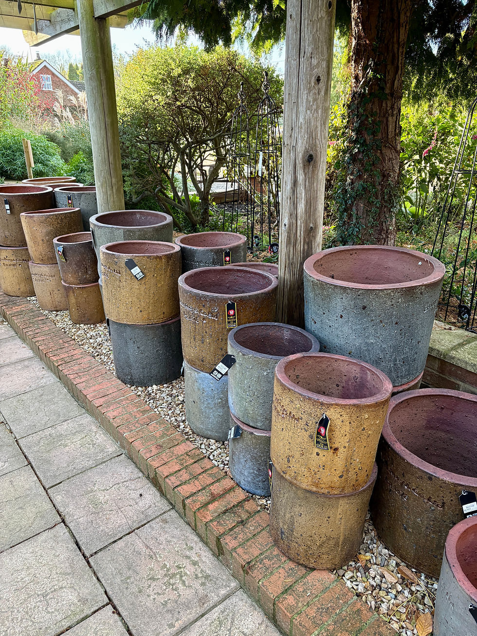 Pots Galore at Rasells Nurseries!