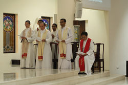 Lecturers professing the faith