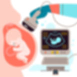 Embryo Grading