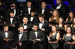 Camerata.jpg